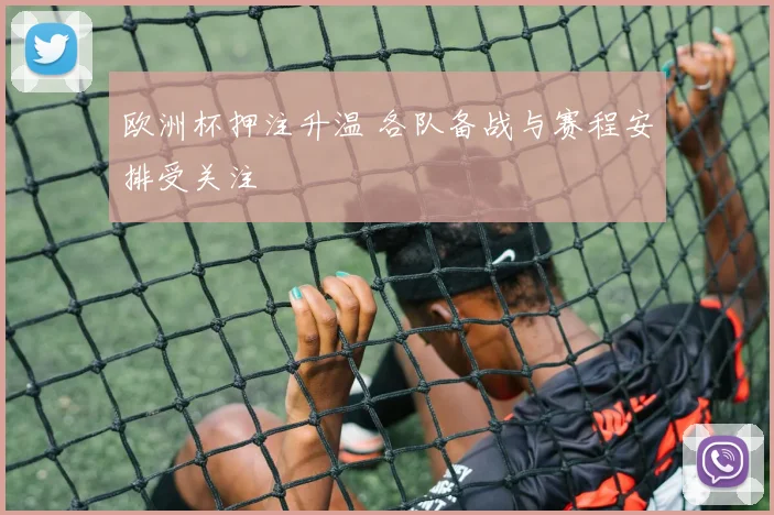 欧洲杯押注升温 各队备战与赛程安排受关注