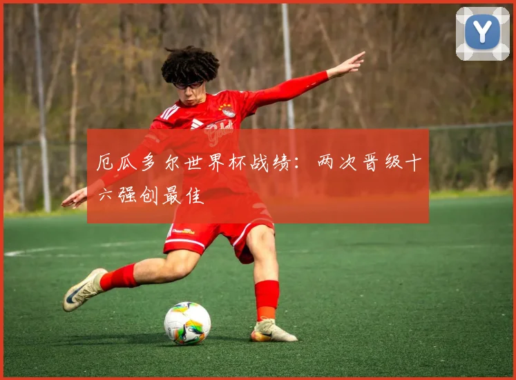 厄瓜多尔世界杯战绩:两次晋级十六强创最佳