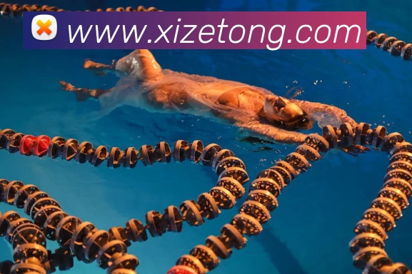 奖项2
